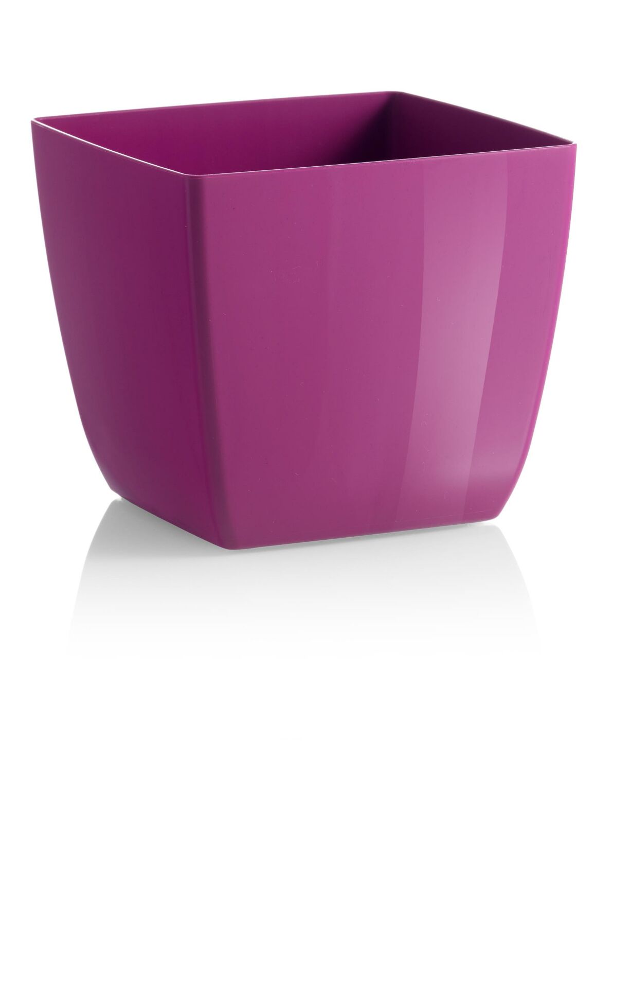 SANTIAGO COLOUR 20 PEONIA
