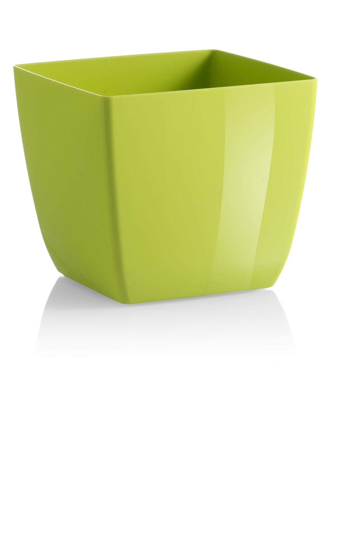 SANTIAGO COLOUR 20 CEDRO